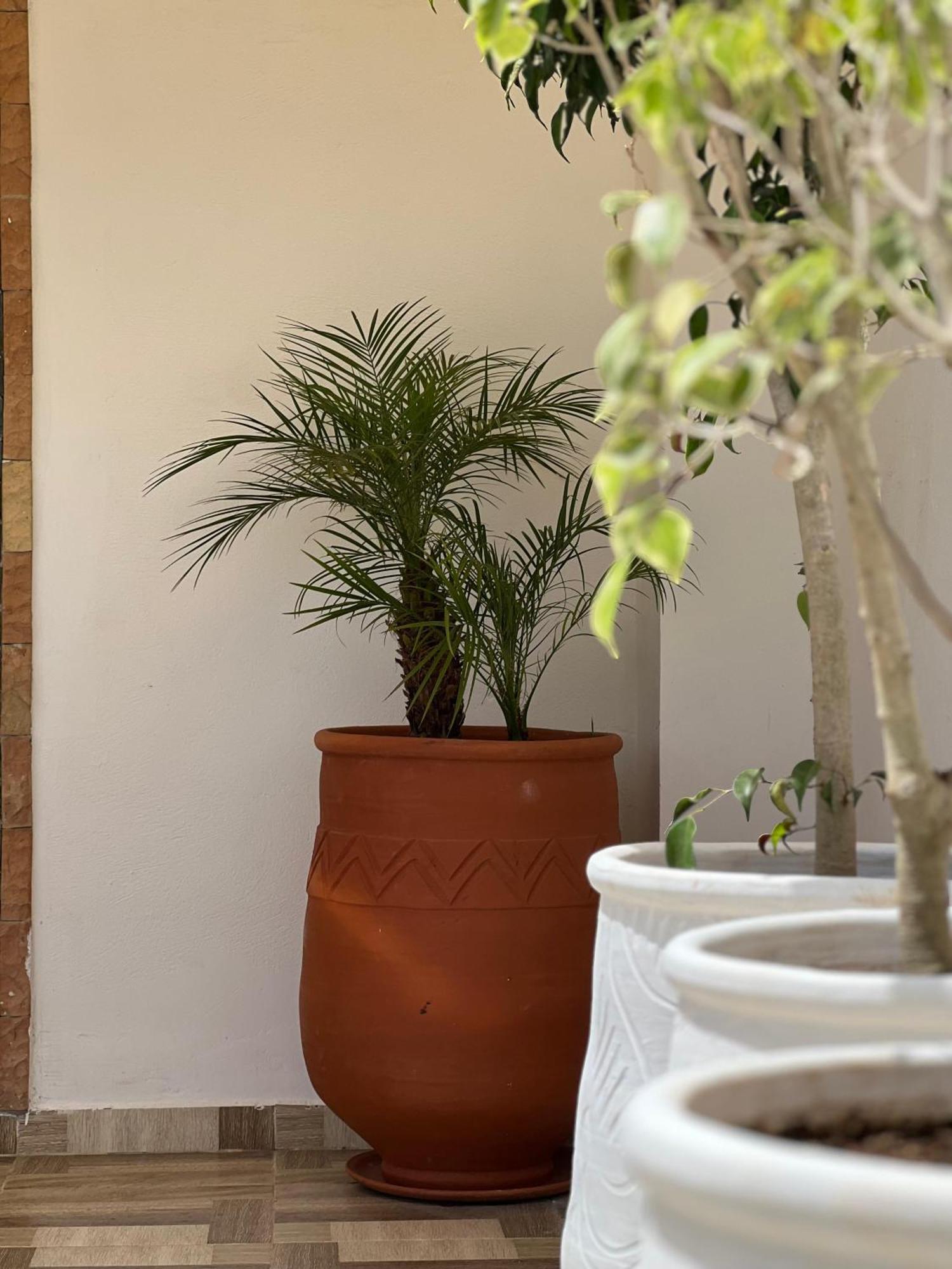 Riad Safia 拉巴特 外观 照片